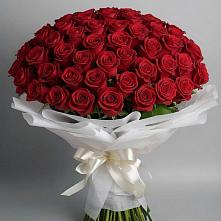 Букет 101 Красная роза Блэк Мэджик в Первоавгустовском