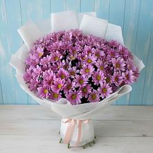 Букет цветов из:  Хризантемы #REPLACE_PRED# Первоавгустовском