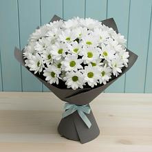 Букет цветов из:  Хризантемы #REPLACE_PRED# Первоавгустовском