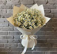 Букет цветов из:  Ромашки в Первоавгустовском