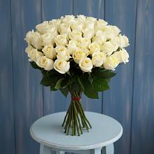 Букет 51 Белая роза Эдлесс Лав #REPLACE_PRED# Первоавгустовском