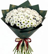 Букет цветов из:  Хризантемы в Первоавгустовском