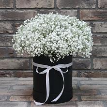 Цветочная композиция из Гипсофила в шляпной коробке в Первоавгустовском