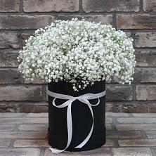 Цветочная композиция из Гипсофила в шляпной коробке в Первоавгустовском
